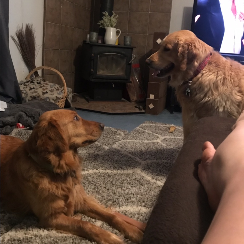 Meet your seller Cooper